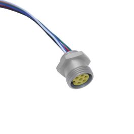MIN Size I, Receptacle, 3 Pole, Female Straight, 6 Ft, 18awg, 10A, PG11, Front Mount, Aluminum Clear Anodized